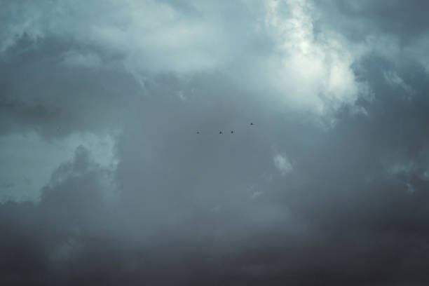istock Flock of birds in stunning sky with big dark clouds 1133754476
