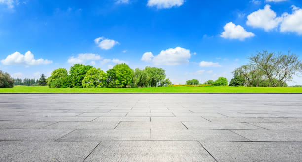 istock Empty square floor and green forest in city park 1133754941