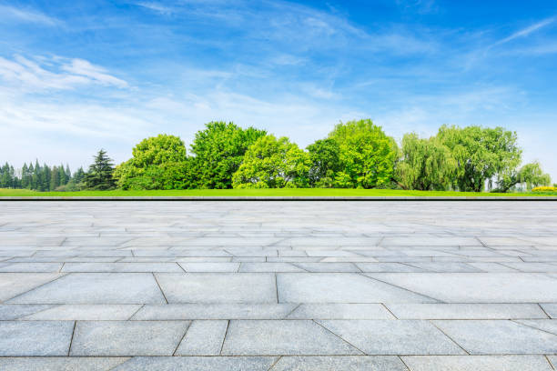 istock Empty square floor and green forest in city park 1133755176