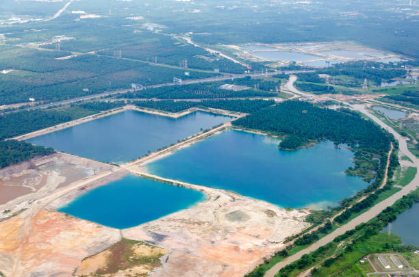 팜 유 생산을 위한 열 대 삼림 벌채.  공중 농장, 임업 파괴. - aerial view lumber industry oil tropical rainforest 뉴스 사진 이미지