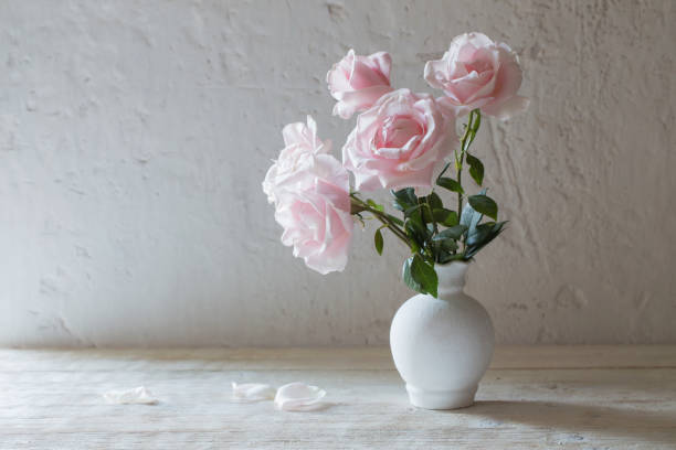 istock pink roses in vase on white background 1133757334