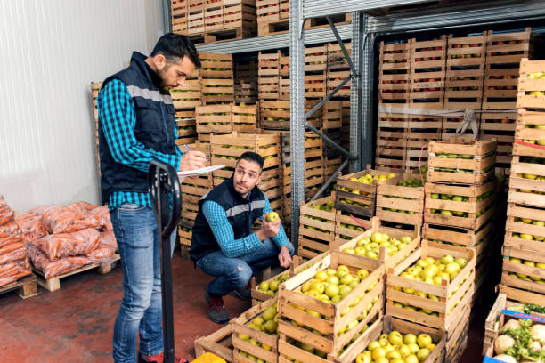 istock Fresh fruits and vegetables in warehouse 1133758876