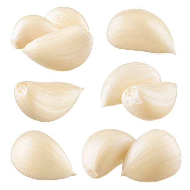 Garlic cloves. Garlic cloves. Garlic isolated. Garlic cloves on white. Collection. garlic clove photos stock pictures, royalty-free photos & images