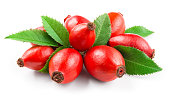 Rosehip