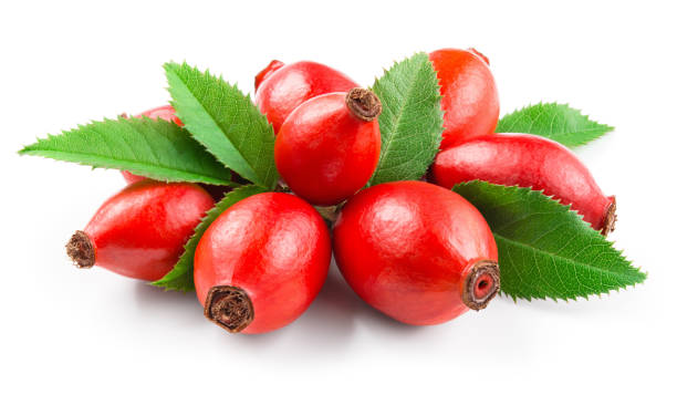 Rosehip Rosehip. Rosehip isolated on white. Berries with leaves. rose hip stock pictures, royalty-free photos & images