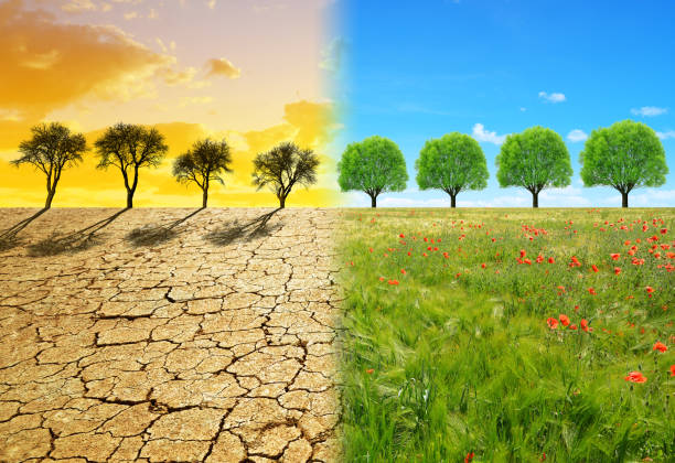 istock Concept of change climate or global warming. 1133759196