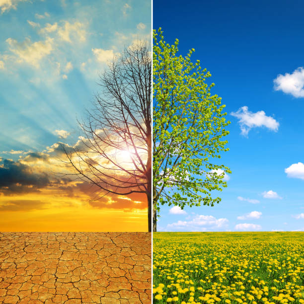 istock Concept of change climate or global warming. 1133759302