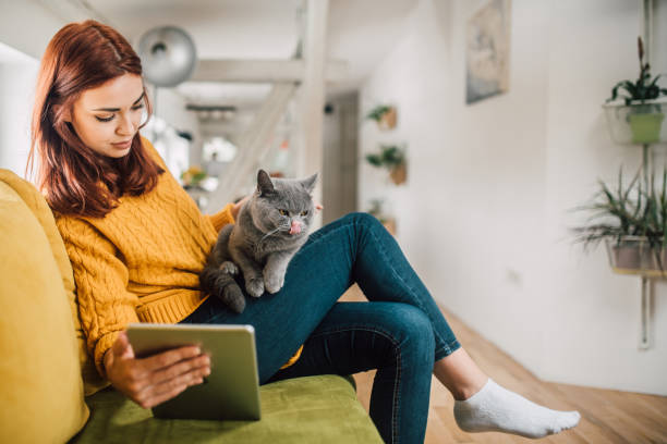 istock Happy redhead young woman online shopping while her cat on a couch 1133759784