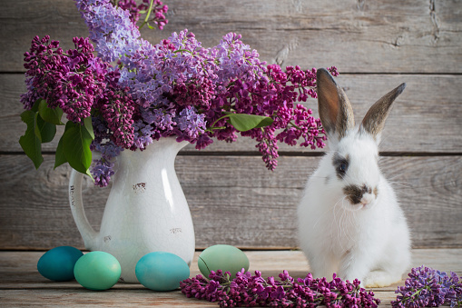 easter bunny with lilac on wooden background