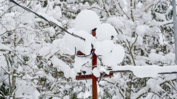 ein mit viel schnee bedeckter stropfosten - blizzard ice damaged snow stock-fotos und bilder