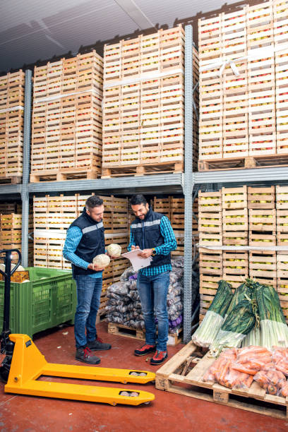 istock Fresh fruits and vegetables in warehouse 1133762074