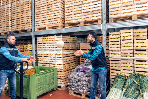 istock Fresh fruits and vegetables in warehouse 1133762310