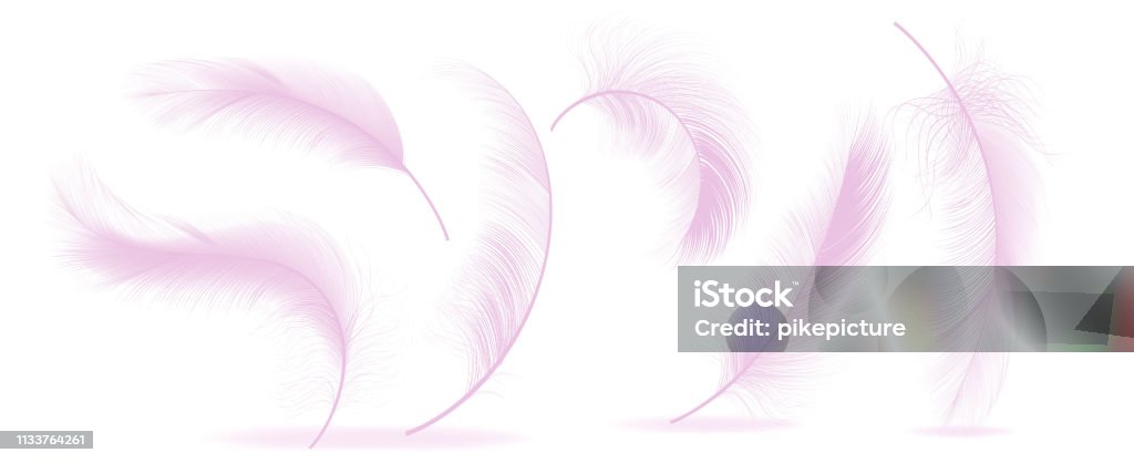 Pink Feathers Set Vector. Different Falling Fluffy Twirled Feathers. Healthy Sleep, Dreams. Isolated Illustration Pink Feathers Set Vector. Different Falling Fluffy Twirled Feathers. Healthy Sleep, Dreams. Illustration Animal Hair stock vector