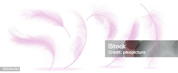 Pink Feathers Set Vector Different Falling Fluffy Twirled Feathers Healthy Sleep Dreams Isolated Illustration Stock Illustration - Download Image Now