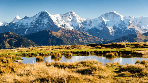 eiger, munk och jungfru, bernese oberland, schweiz - monch bildbanksfoton och bilder