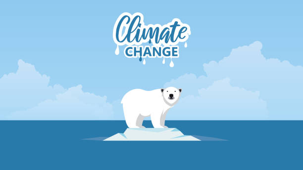 ilustraciones, imágenes clip art, dibujos animados e iconos de stock de el calentamiento global. concepto de cambio climático. oso polar sobre hielo flotante. - polar bear bear vector mammal