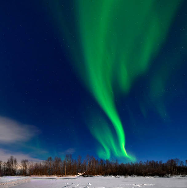 gelb-grüne nordlichter (aurora borealis) über holzschuppen in schneebedeckter landschaft finnlands - aurora borealis aurora polaris lapland finland stock-fotos und bilder