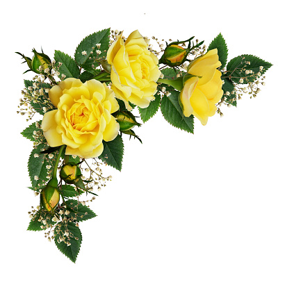 Yellow rose flowers in a corner arrangement