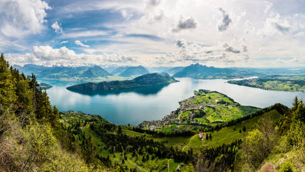 панорама, вид на озеро люцерн и веггис из риги, швейцария, европа - scenics switzerland mountain nature стоковые фото и изображения