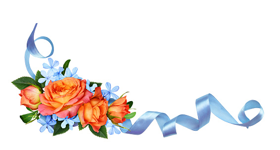 Orange roses and blue small flowers with silk ribbon in a corner arrangement isolated on white background. Flat lay, top view.