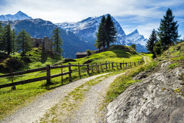 via spluga hemen önce splügen village, graubünden, isviçre - wald stok fotoğraflar ve resimler