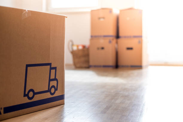istock Moving home: Cardboards in a clean and bright room. 1133769148