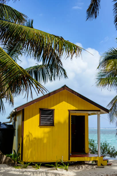 istock Colorful beach side cabin with palm tree 1133773026