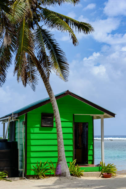 istock Colorful beach side cabin with palm tree 1133773126