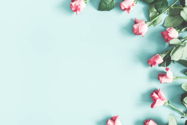 istock Pink rose flowers on pastel mint background. Flat lay, top view, copy space 1133778175