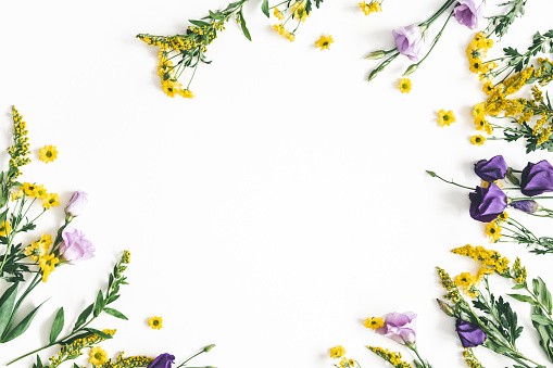 Flowers composition. Yellow and purple flowers on white background. Spring, easter concept. Flat lay, top view, copy space