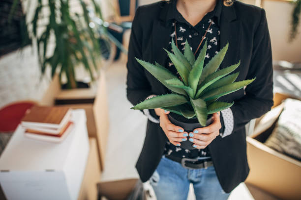 istock Lady holding a cactus plant for her new apartment 1133779614