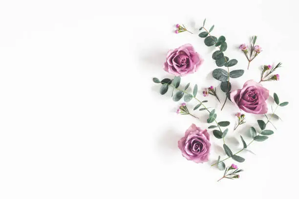 Photo of Flowers composition. Pattern made of eucalyptus branches and rose flowers on white background. Flat lay, top view, copy space