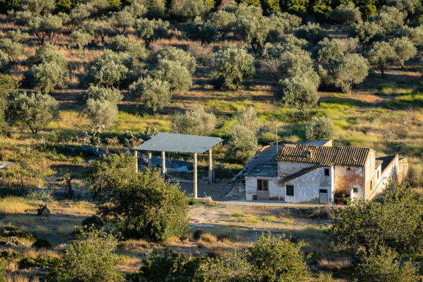 istock Abandoned orange farm house in Spanish rural aeria 1133782017