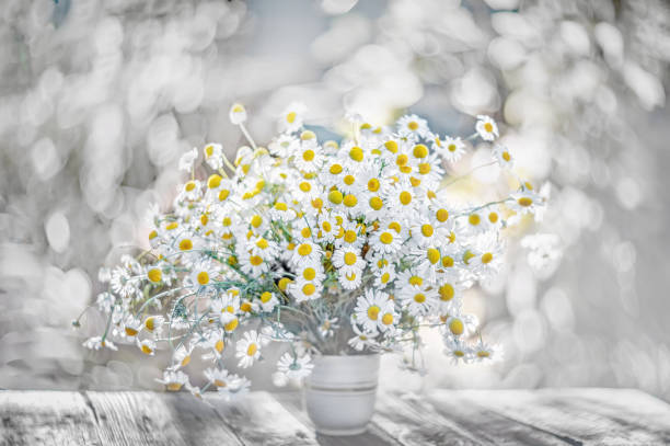 istock Small white daisies in a glass jar on a white table. Soft focus, bokeh background 1133783160