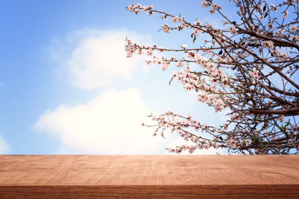 istock wooden table in front of spring blossom tree landscape. Product display and presentation 1133783571