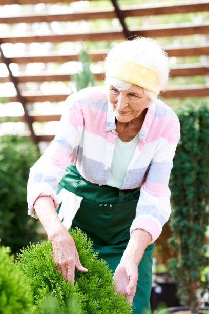 istock Mature Woman Gardening 1133784955