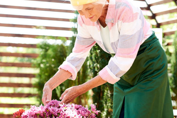 istock Senior Woman Growing Flowers 1133784957