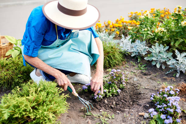 Female Gardener Planting Flowers