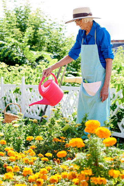 istock Senior Woman Watering Flowers 1133784987