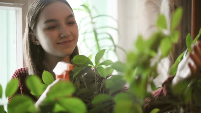 Happy young girl watering green plants at home