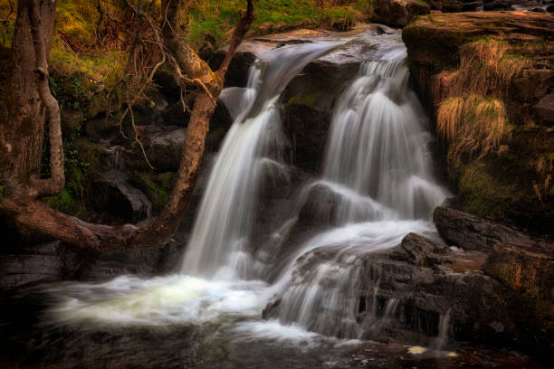 istock Cascading water at Blaen y Glyn 1133788448