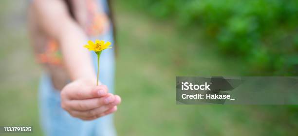 Il Bambino Dà Il Fiore Giallo - Fotografie stock e altre immagini di Condividere - Condividere, Fiore, Accudire