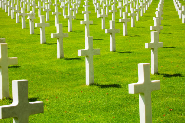 istock Many rows of crosses on the cemetery 1133798789