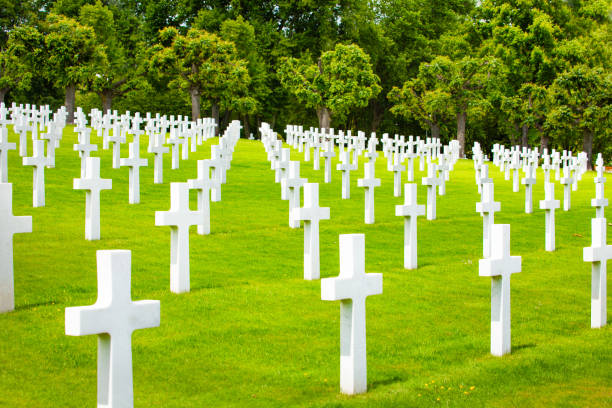 istock Military cemetery with crosses on green grass 1133798792