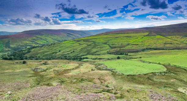 istock The green fields in the valley in Cushendun 1133798924