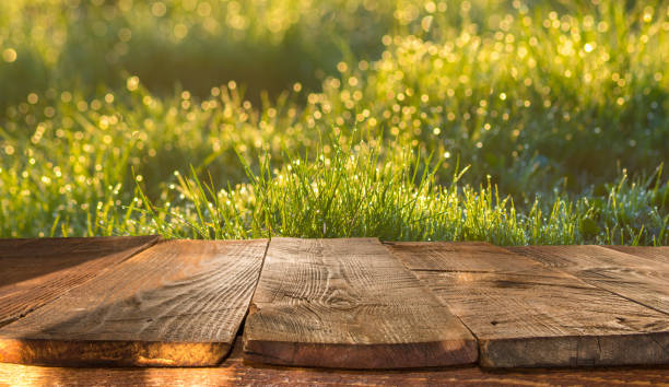 wooden table and spring blurred background wooden table and spring blurred background rustic wood table stock pictures, royalty-free photos & images