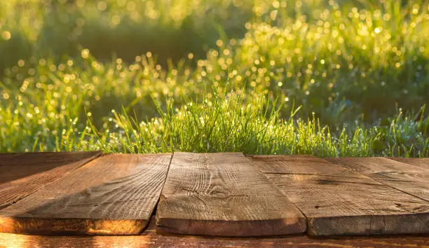 Photo of wooden table and spring blurred background