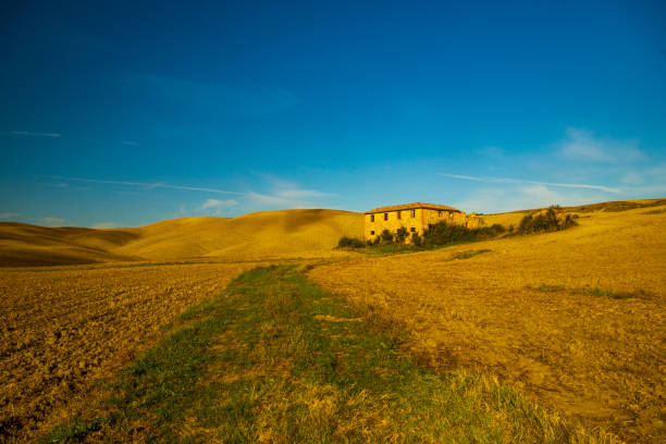 istock An abandoned, uninhabited house in Tuscany 1133800992