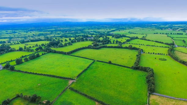 istock The green farm fields and the trees around in Ireland 1133804264