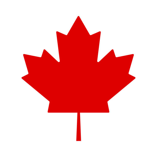 red leaf kanada na białym tle. flaga kanady - flag canadian flag patriotism national flag stock illustrations